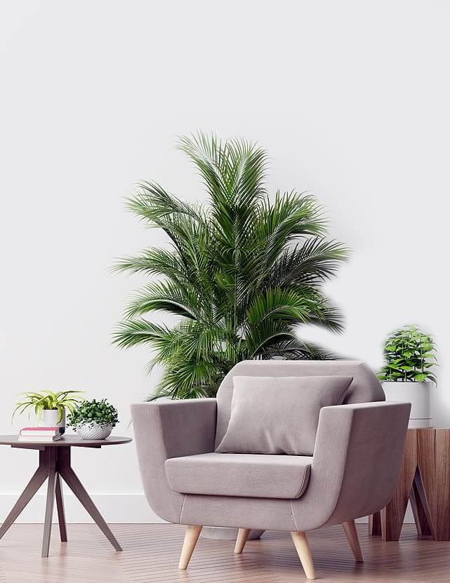 Minimal & Simple Design